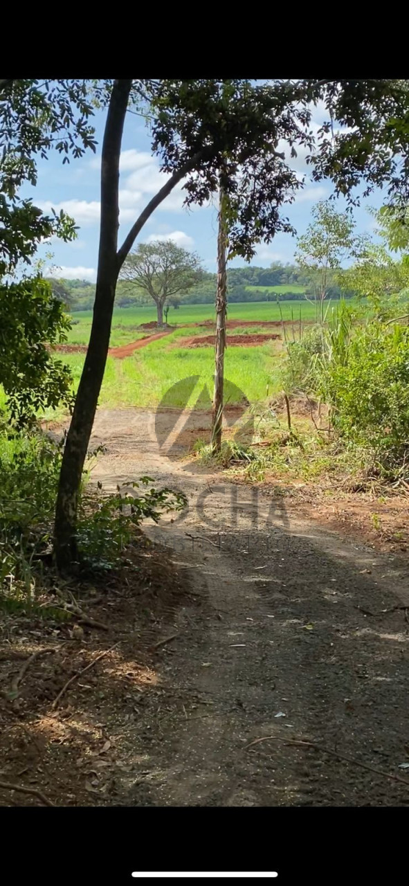 Chacára em Jataizinho fundo para o Tibagi Imagens do imóveis Chacára em Jataizinho fundo para o Tibagi