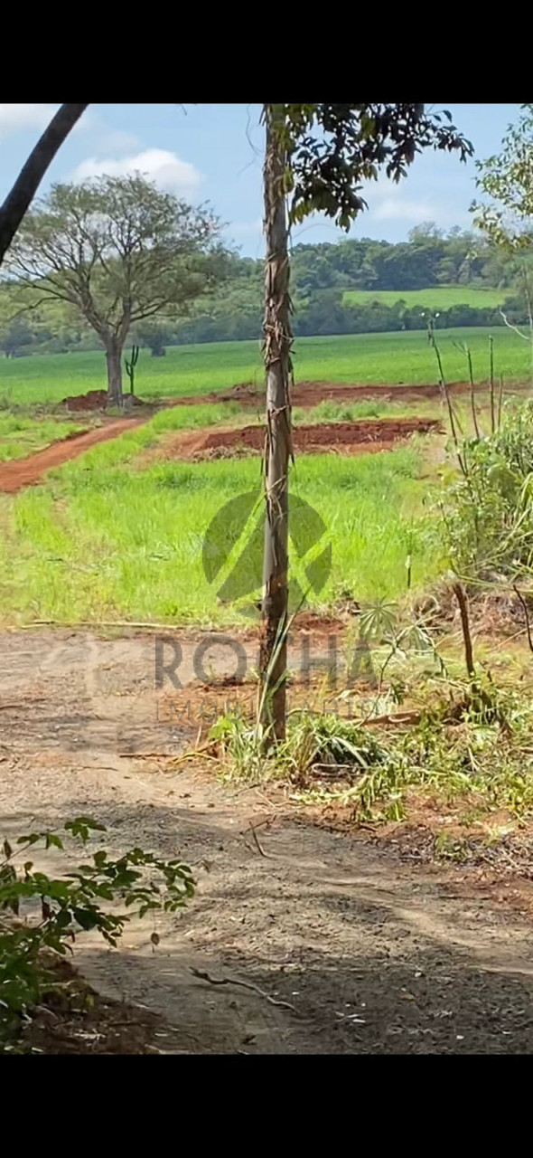 Chacára em Jataizinho fundo para o Tibagi Imagens do imóveis Chacára em Jataizinho fundo para o Tibagi