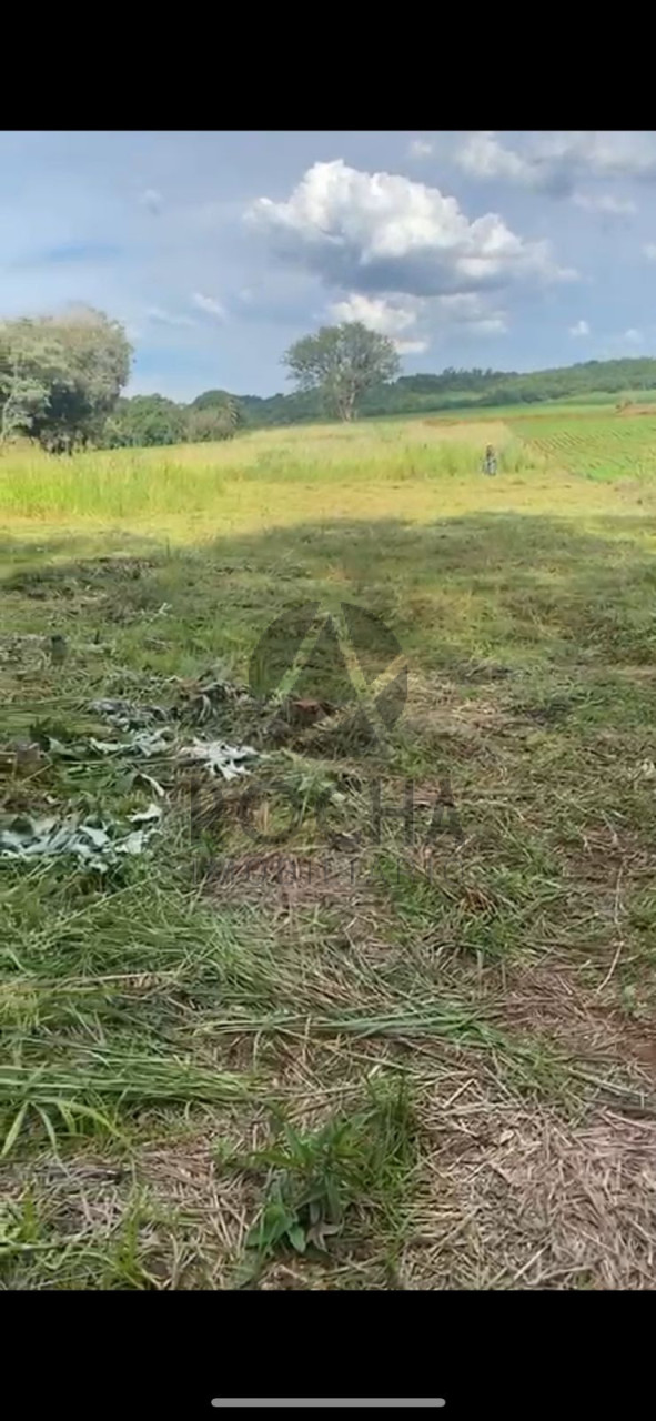 Imagens do imóveis Chacára em Jataizinho fundo para o Tibagi