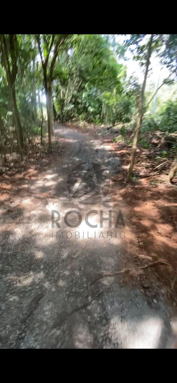 Chacára em Jataizinho fundo para o Tibagi Imagens do imóveis Chacára em Jataizinho fundo para o Tibagi