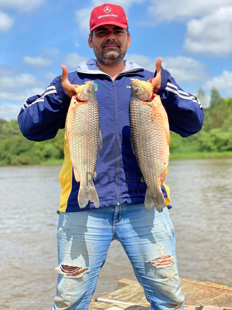 Chacára em Jataizinho fundo para o Tibagi Imagens do imóveis Chacára em Jataizinho fundo para o Tibagi