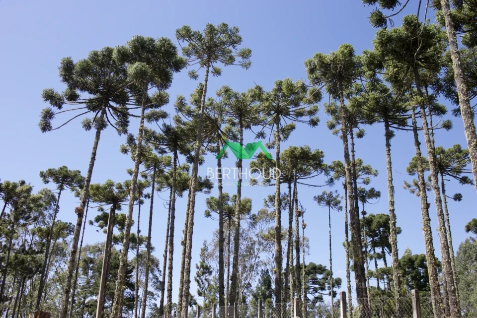 Imagens do imóveis Excelente oportunidade - sitio próximo ao centro Capivari