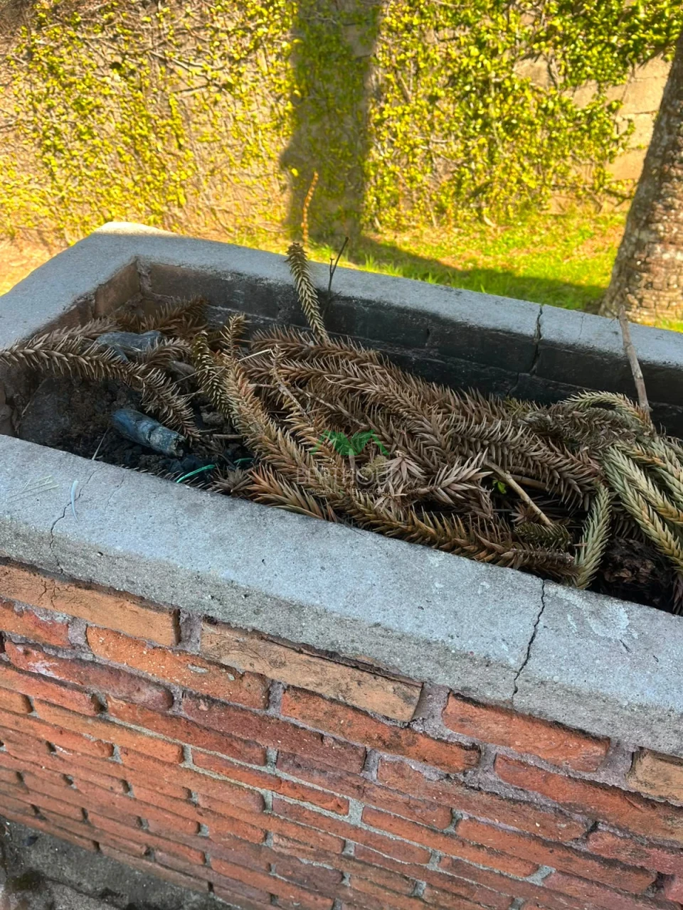 Imagens do imóveis casas com vista ampla para a cidade