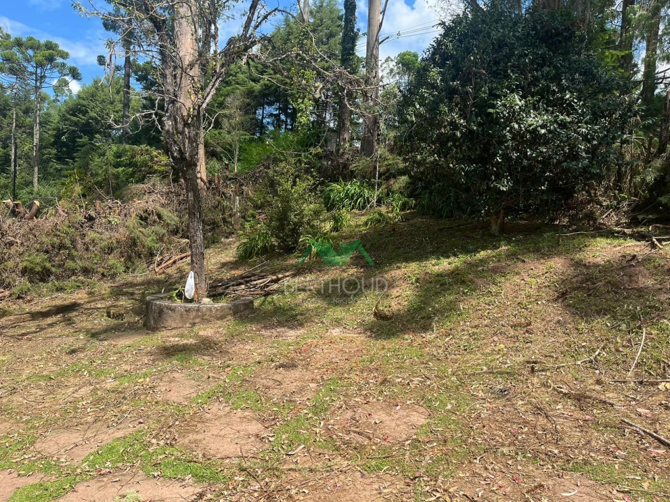 Imagens do imóveis Casa À Venda Rancho Alegre Campos Do Jordão
