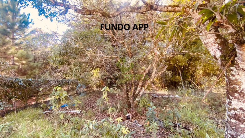 Imagens do imóveis Oportunidade em Jarinu! Lotes Ideais para Construção de Chácaras, Investimento ou Empreendimentos