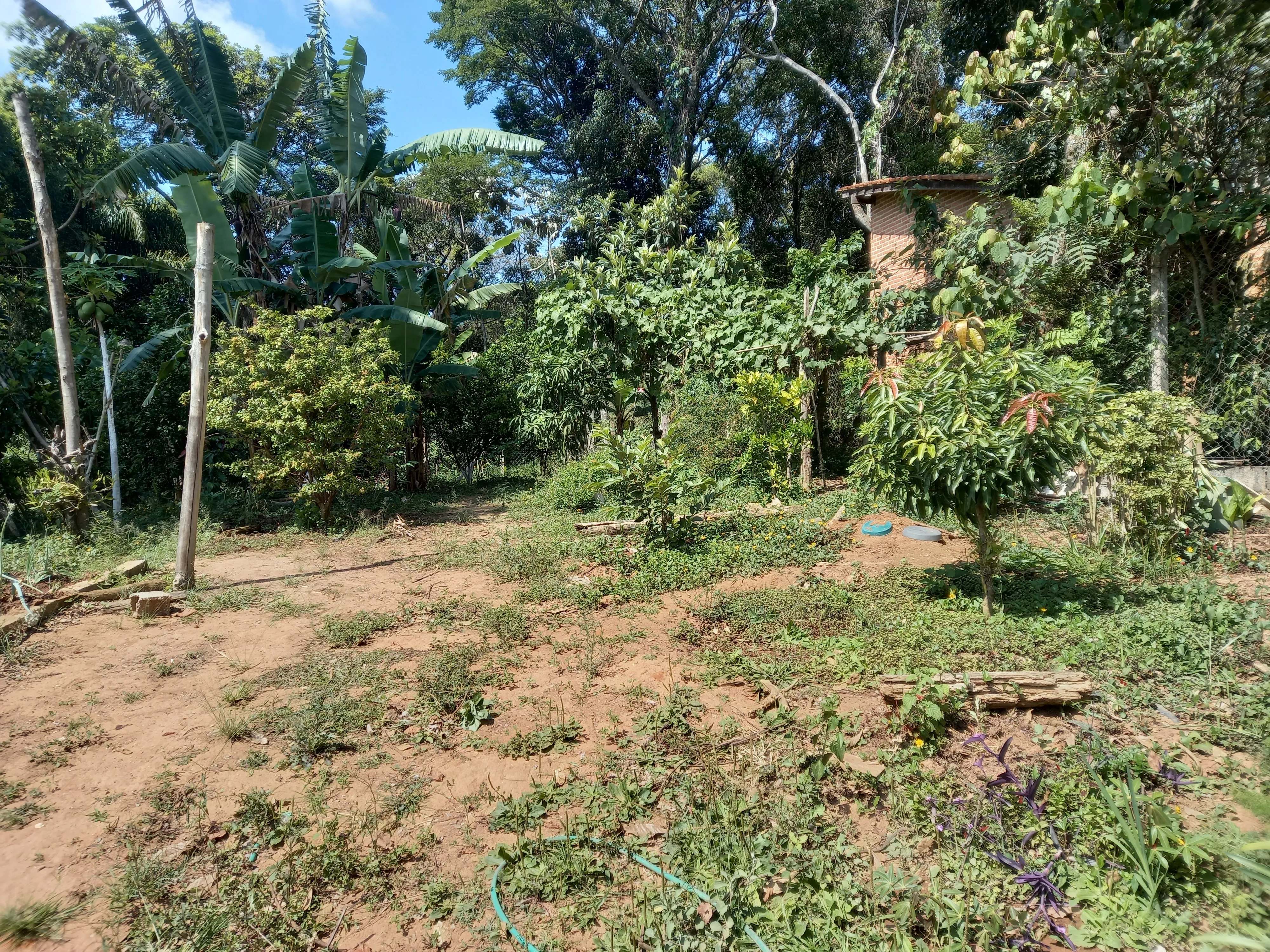 Imagens do imóveis Casa com terreno plano de 750 m² em Jarinu, excelente oportunidade moradia