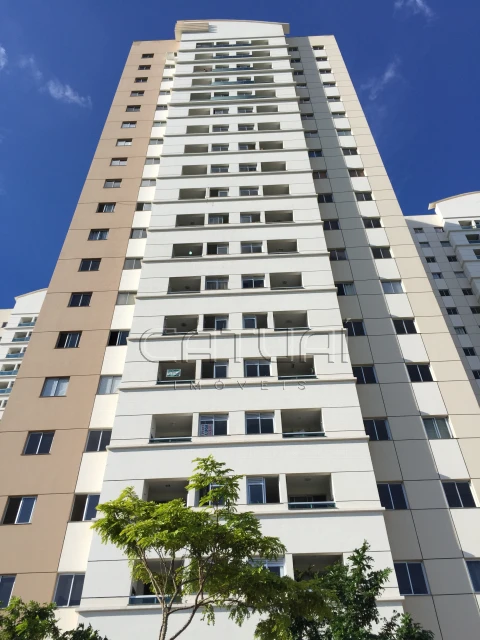 Apartamento Para Alugar Garden Palhano  Londrina