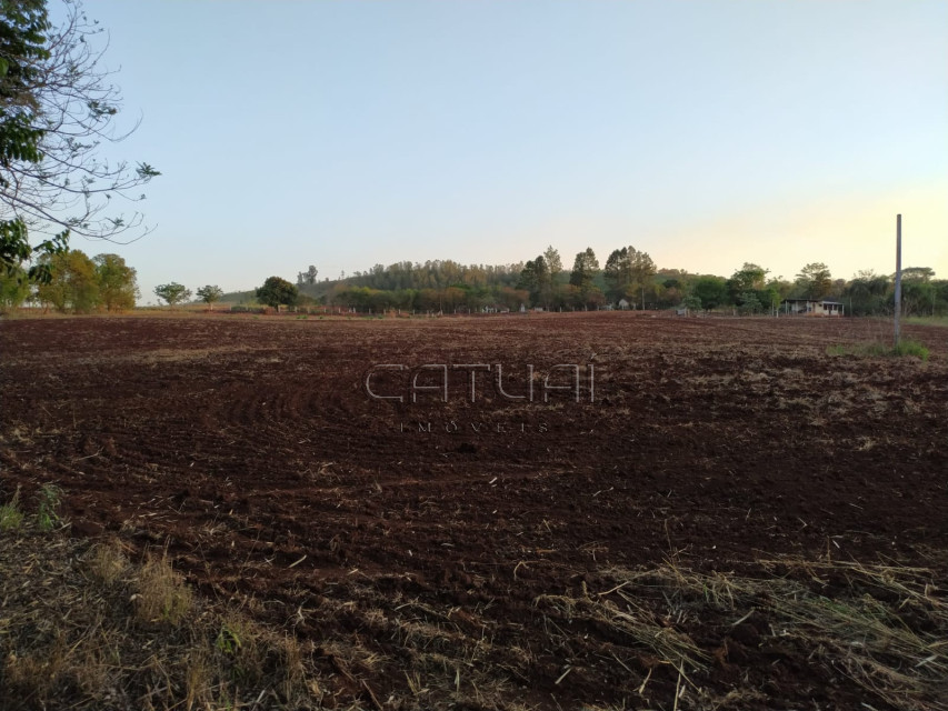 Chácara à venda -  Jardim Vale Verde, Londrina Chácara à venda -  Jardim Vale Verde, Londrina