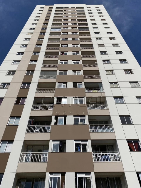 Apartamento Para Alugar Garden Belvedere Londrina