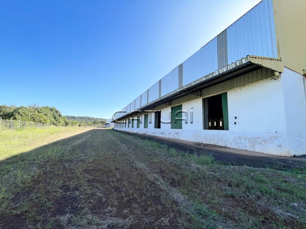 Barracao Comercial para alugar - Comercial Conjunto Habitacional Jamile Dequech, Londrina Barracao Comercial para alugar - Comercial Conjunto Habitacional Jamile Dequech, Londrina
