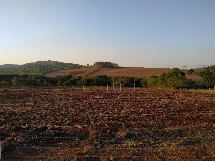Chácara à venda -  Jardim Vale Verde, Londrina Chácara à venda -  Jardim Vale Verde, Londrina