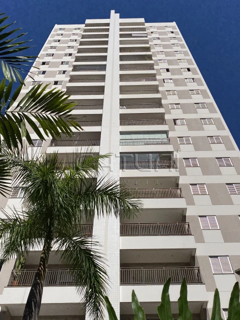 Apartamento Para Alugar Manaca Londrina