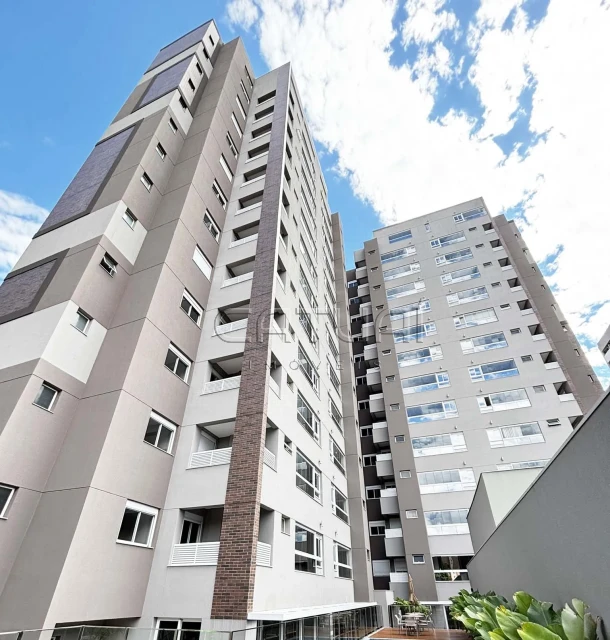 Apartamento Para Alugar Villa Montese Londrina