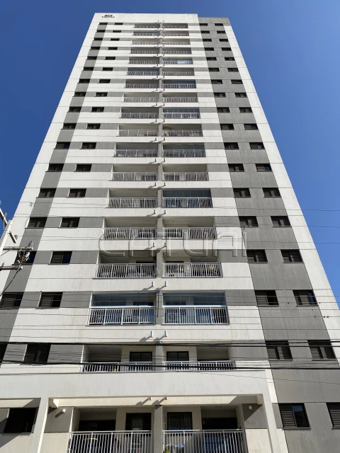Apartamento Para Alugar Aquarela Pinheiros Londrina