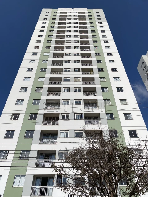 Apartamento Para Alugar Garden Araucaria Londrina