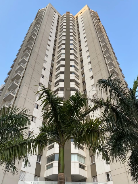 Apartamento Para Alugar Evolution Alto Da Palhano Londrina