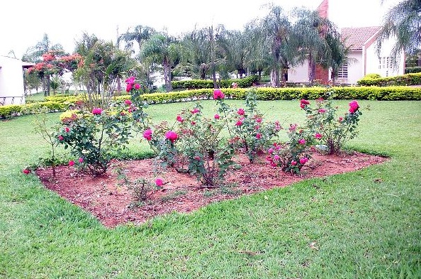 Terreno em Condomínio à venda - Ilha do Sol - Primeiro de Maio, Londrina Terreno em Condomínio à venda - Ilha do Sol - Primeiro de Maio, Londrina