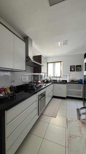 Apartamento Para Alugar Maison Villa Lobos Londrina