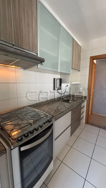 Apartamento Para Alugar Splendor Londrina