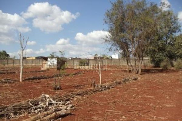 Barracao comercial com pátio e estrutura logística à venda no Jardim Rosicler, Londrina Barracao comercial com pátio e estrutura logística à venda no Jardim Rosicler, Londrina