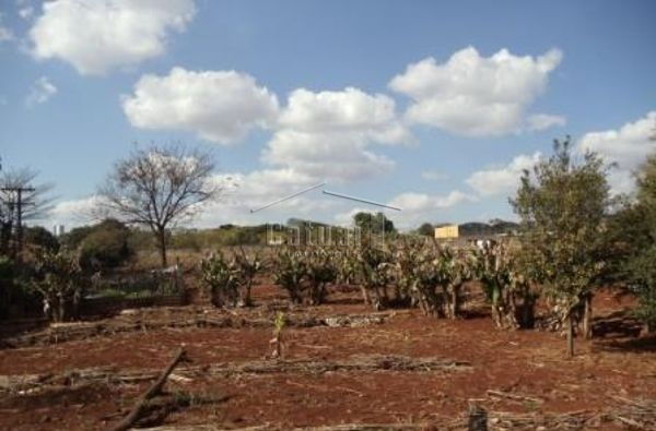 Barracao comercial com pátio e estrutura logística à venda no Jardim Rosicler, Londrina Barracao comercial com pátio e estrutura logística à venda no Jardim Rosicler, Londrina