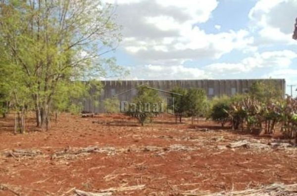 Barracao comercial com pátio e estrutura logística à venda no Jardim Rosicler, Londrina Barracao comercial com pátio e estrutura logística à venda no Jardim Rosicler, Londrina