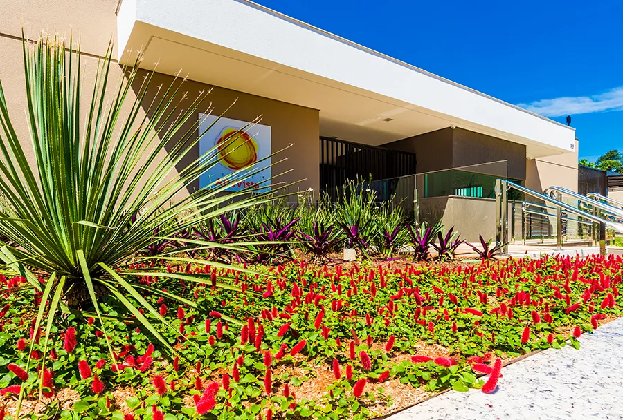 Apartamento Para Alugar Solar Alta Vista Londrina