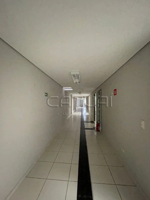 Comercial Para Alugar Jardim Higienópolis Londrina