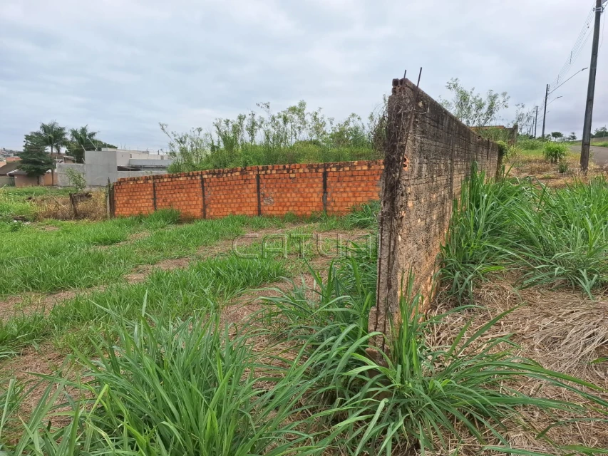 Terreno Á Venda Colúmbia Londrina Terreno Á Venda Colúmbia Londrina