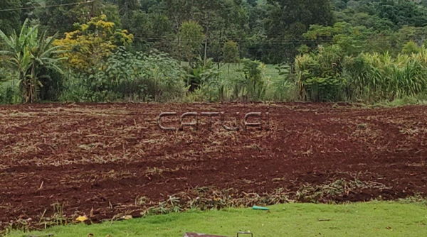 Casa em condomínio à venda - Recanto Fazenda da Nata - Jardim Vale Verde, Londrina Casa em condomínio à venda - Recanto Fazenda da Nata - Jardim Vale Verde, Londrina