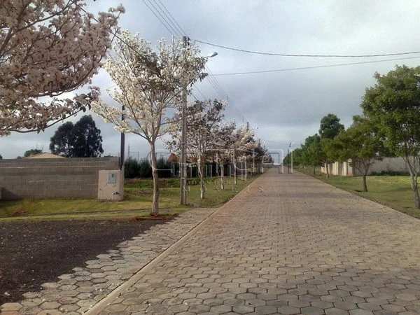 Casa Em Condomínio Para Alugar Estancia Bom Tempo Londrina