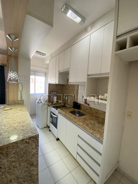 Apartamento Para Alugar Piazza Di Roma  Londrina