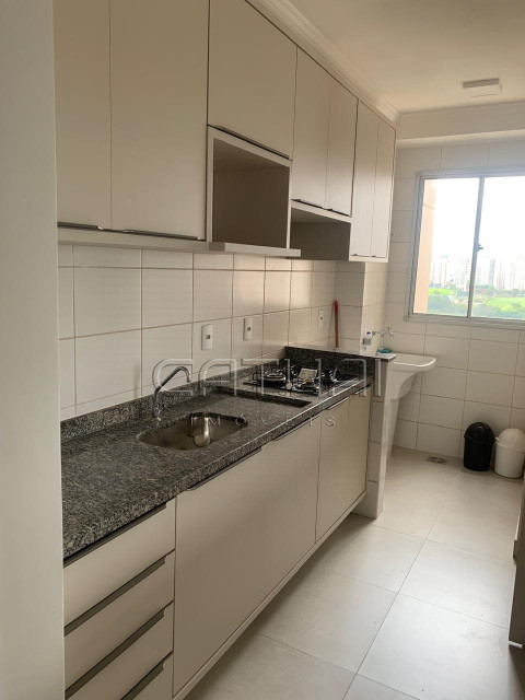 Apartamento Para Alugar Fit Terra Bonita  Londrina Apartamento Para Alugar Fit Terra Bonita  Londrina