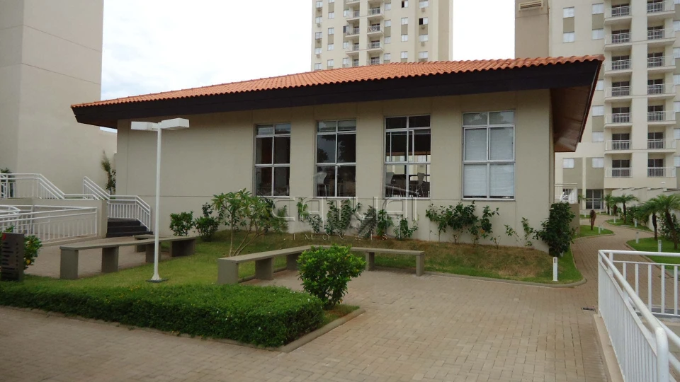 Apartamento Para Alugar Fit Terra Bonita  Londrina Apartamento Para Alugar Fit Terra Bonita  Londrina