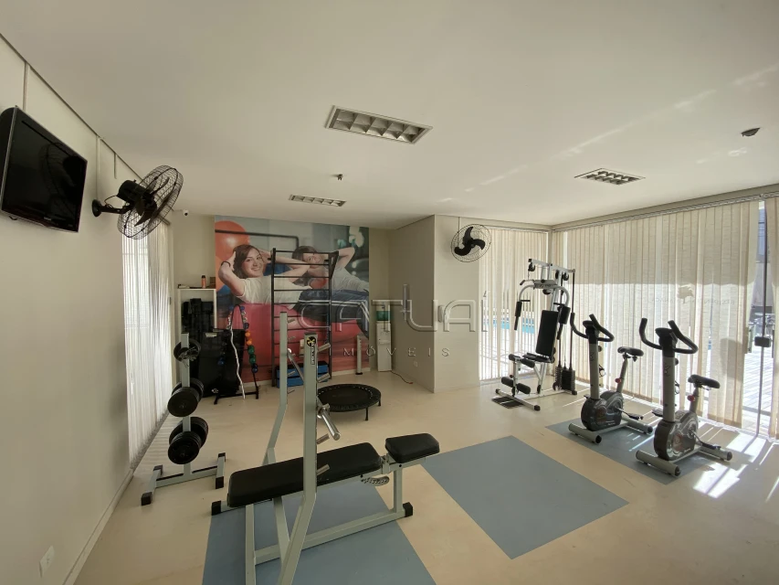 Apartamento Para Alugar Manaca Londrina