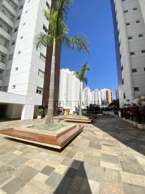 Apartamento Para Alugar Allure  Londrina Apartamento Para Alugar Allure  Londrina