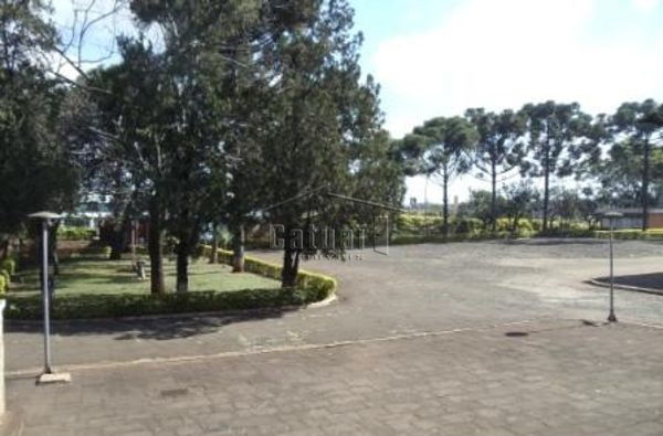 Barracao comercial com pátio e estrutura logística à venda no Jardim Rosicler, Londrina Barracao comercial com pátio e estrutura logística à venda no Jardim Rosicler, Londrina