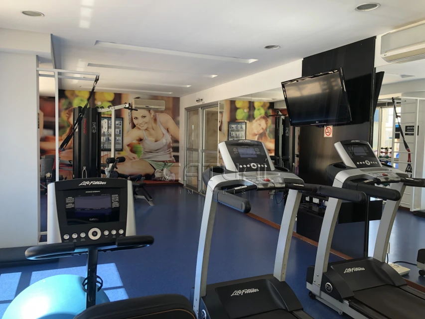 Apartamento Para Alugar Julio Ribeiro Londrina