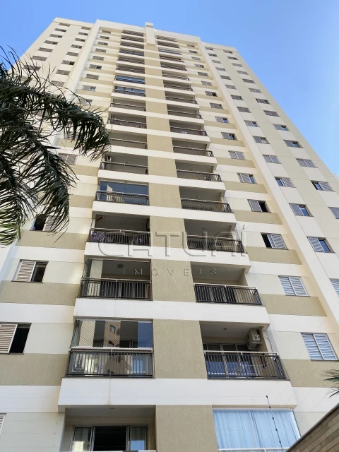 Apartamento Para Alugar Rosa Dos Ventos Londrina