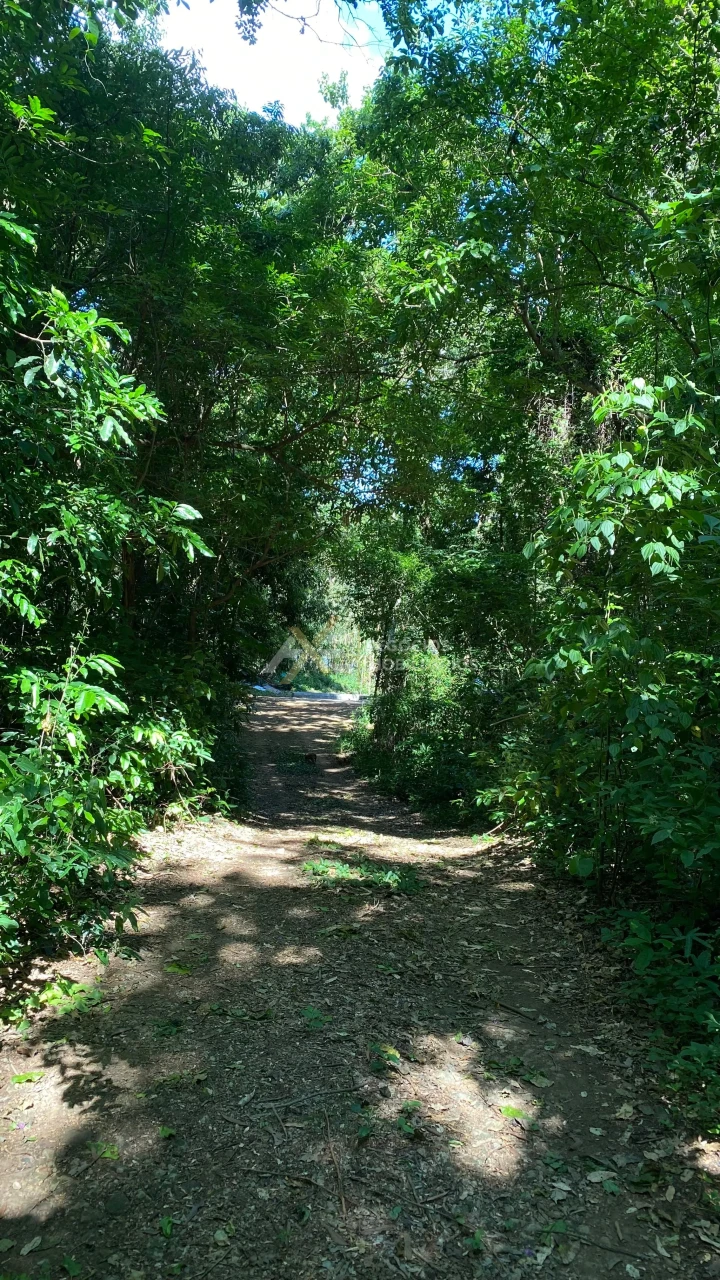 Fazenda, sítio ou chácara 3 quartos à venda em Vila Rural / Barra do Jacutinga, Ibiporã - foto 16