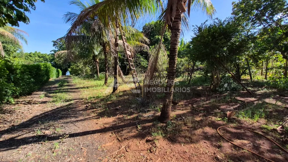 CHÁCARA "MOLHADA" NO RECANTO CASA GRANDE EM ALVORADA DO SUL