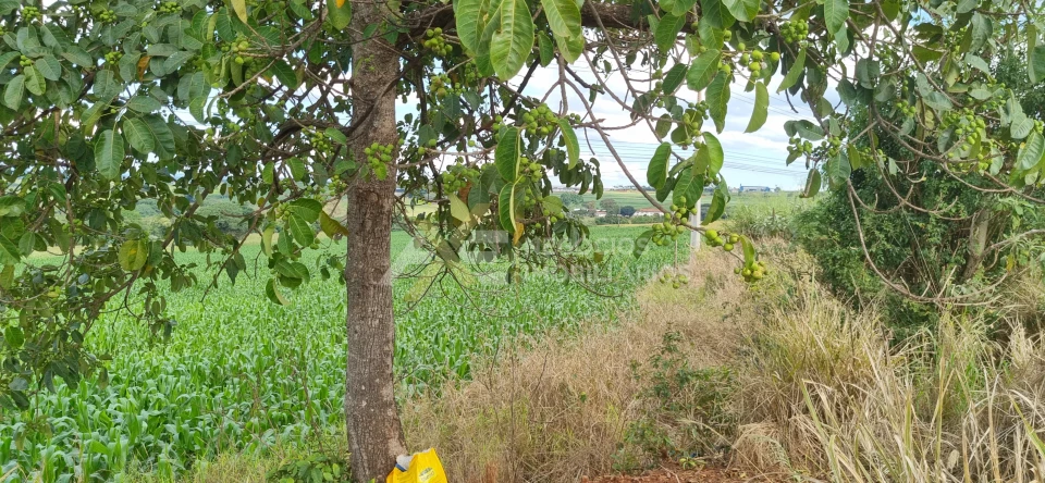 Imagens do imóveis TERRENO À VENDAB NA AVENIDA JOSÉ BONIFACIO- CAMBÉ - PR