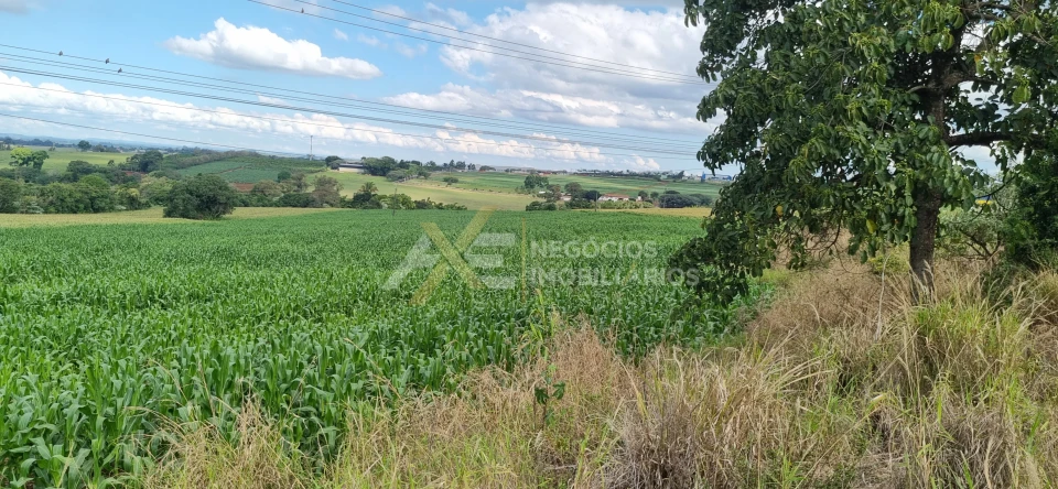 Imagens do imóveis TERRENO À VENDAB NA AVENIDA JOSÉ BONIFACIO- CAMBÉ - PR