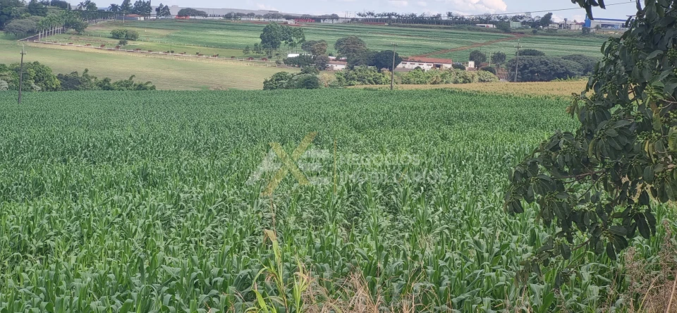 Imagens do imóveis TERRENO À VENDAB NA AVENIDA JOSÉ BONIFACIO- CAMBÉ - PR