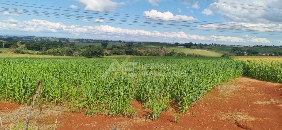 Imagens do imóveis TERRENO À VENDAB NA AVENIDA JOSÉ BONIFACIO- CAMBÉ - PR