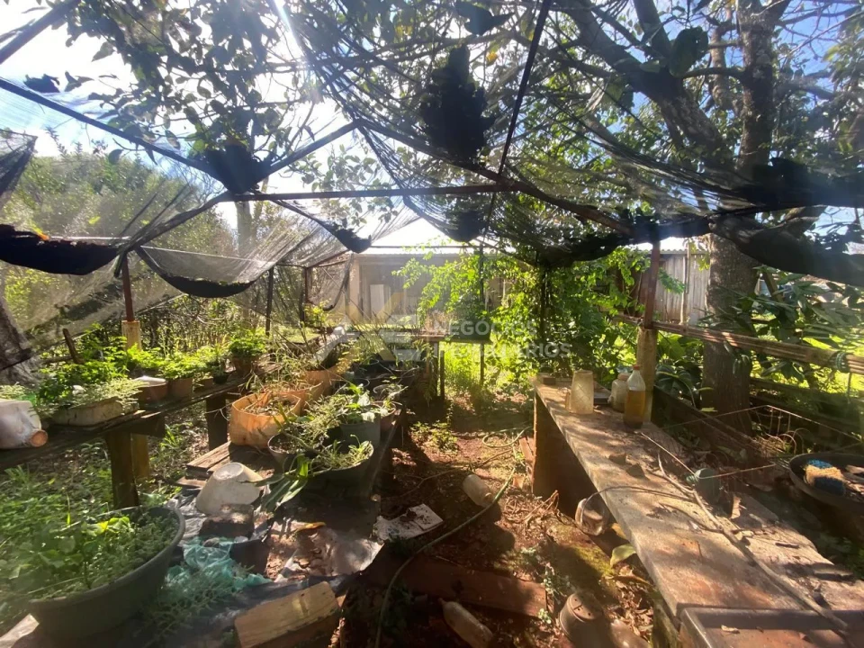 Imagens do imóveis Fazenda/Sítios/Chácaras À Venda Condominio De Chacaras Bratislava Cambé
