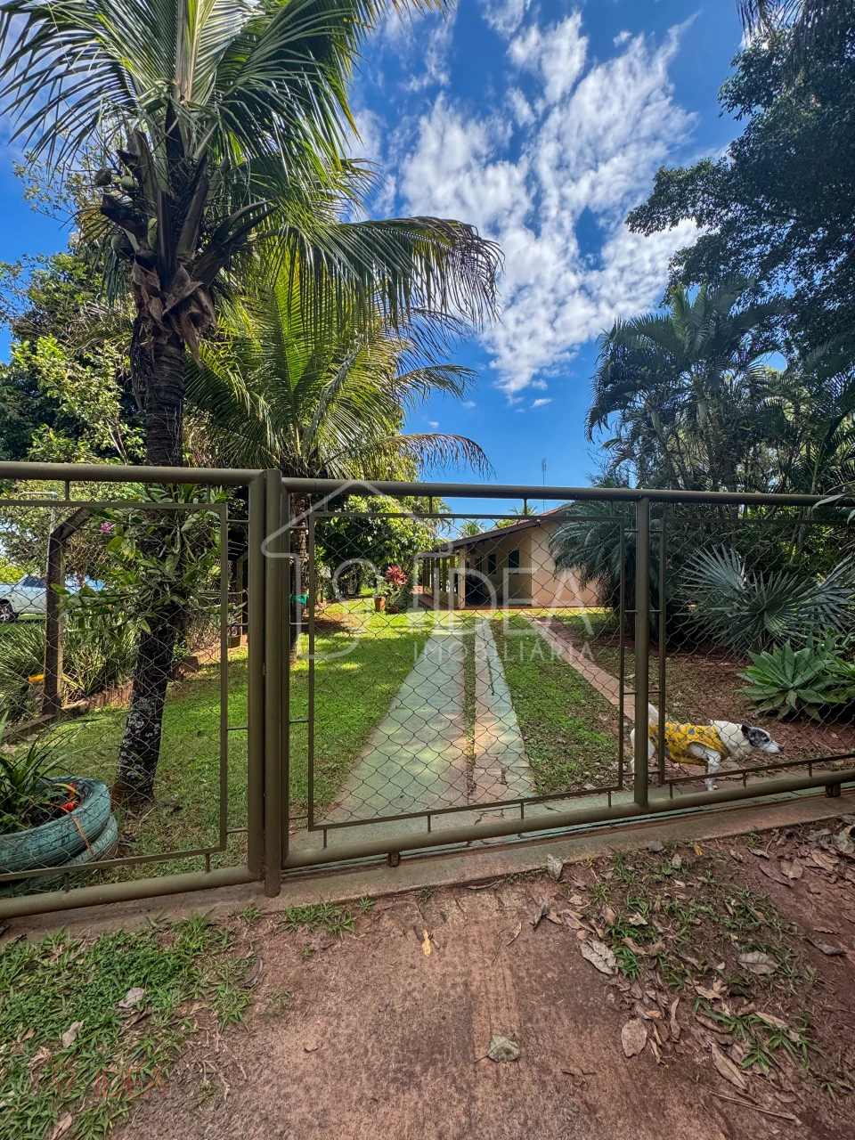 Imagens do imóveis Chácara próximo a cidade de Assis