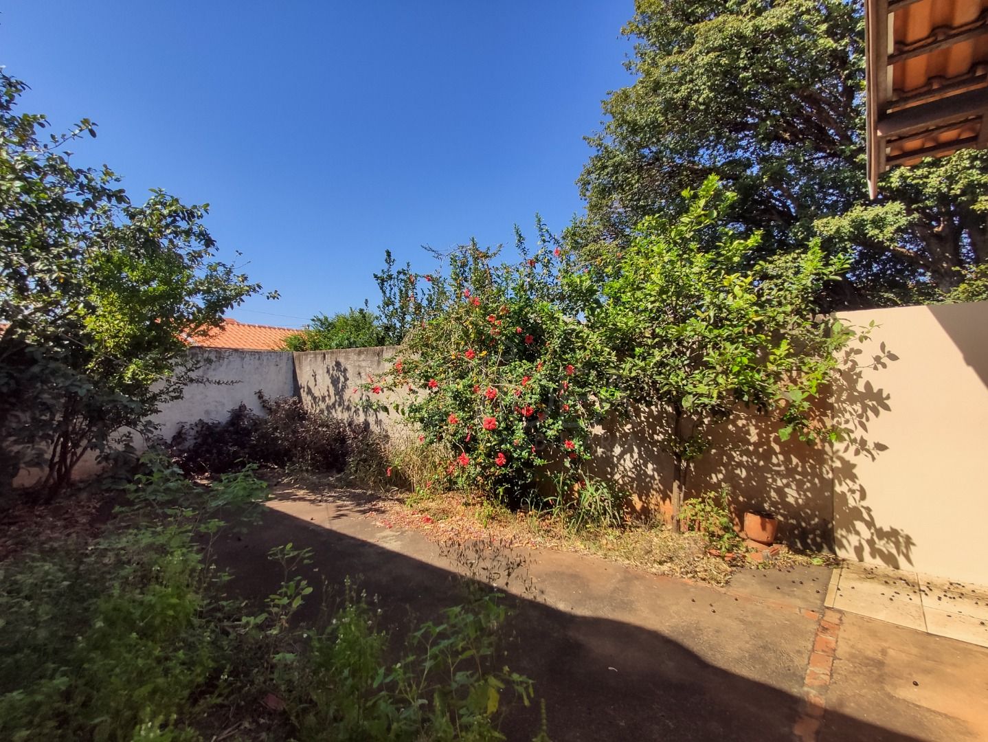 Casa Vila Ebenezer Imagens do imóveis Casa Vila Ebenezer