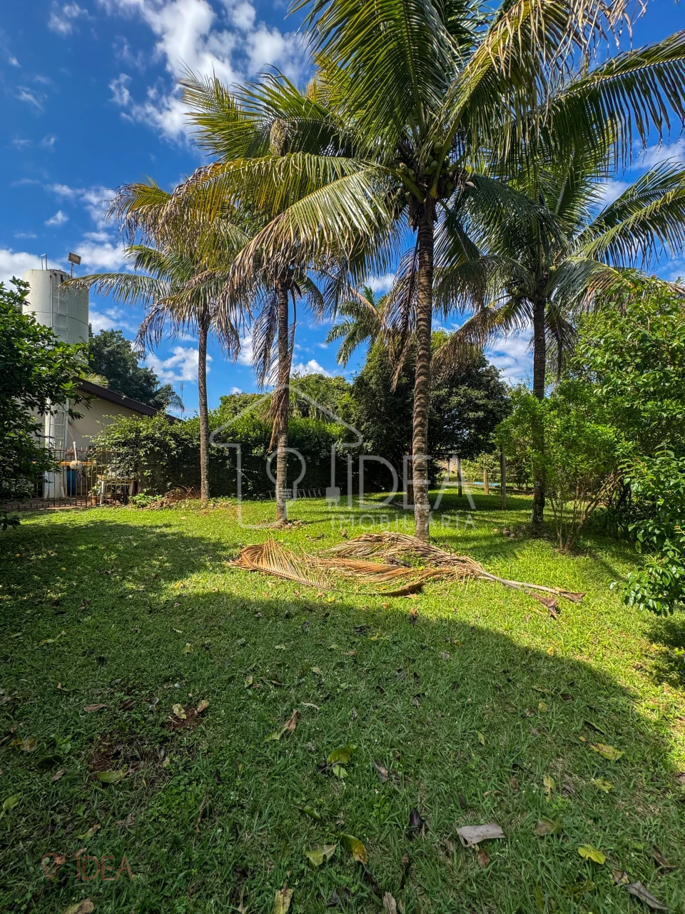 Imagens do imóveis Chácara próximo a cidade de Assis