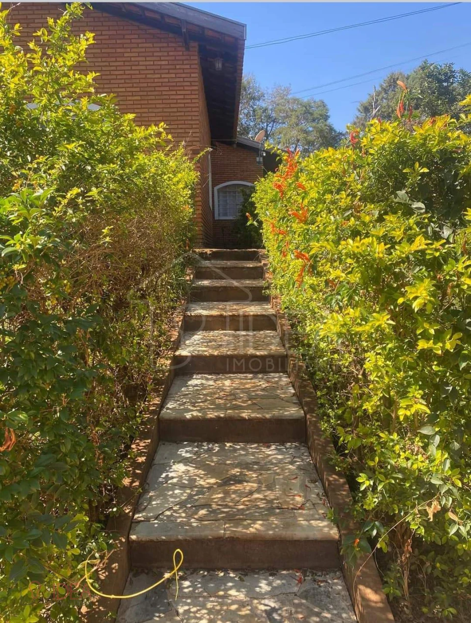 Chácaras à  Venda - Cervinho -  Assis,Sp